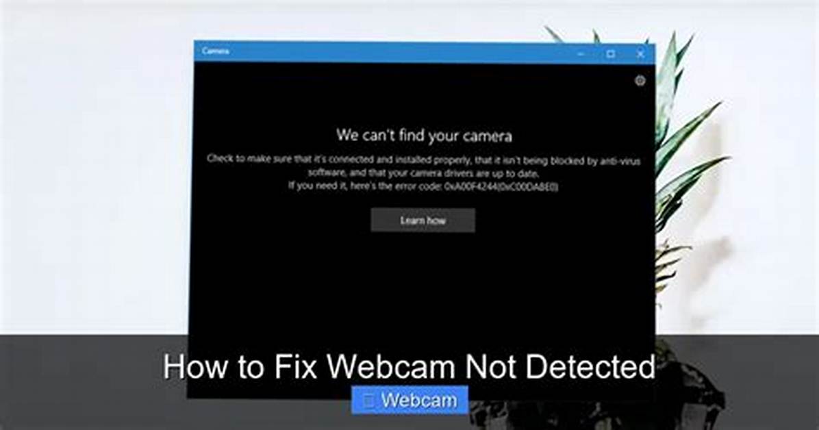 Asus Laption Integrated Camera Not Detected