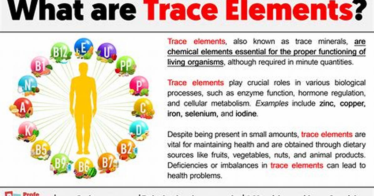 At Are Trace Elements?