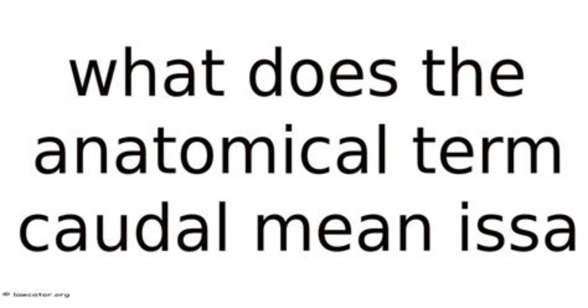 At Does Caudal Mean?