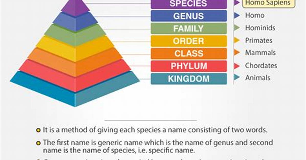 At Does Nomenclature Mean?