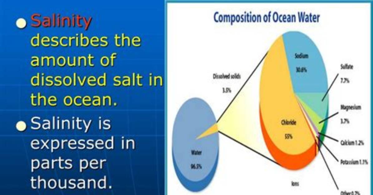 At Does Salinity Mean?