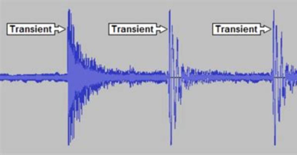 At Does Transient Mean?