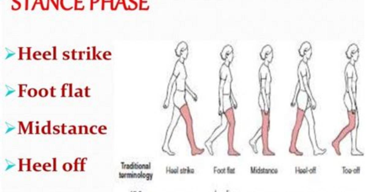 At Heel Strike Phase?