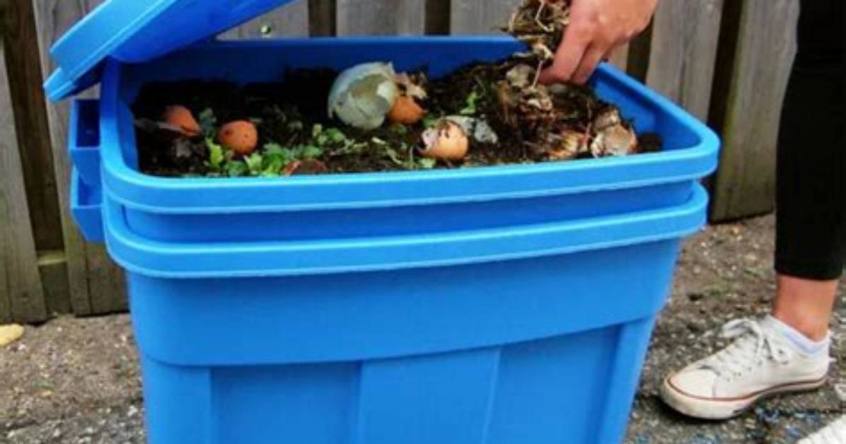 At Home Composting Diy?