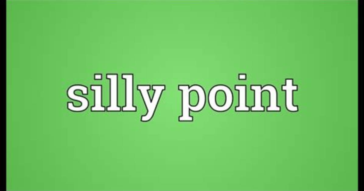 At Silly Point Meaning?