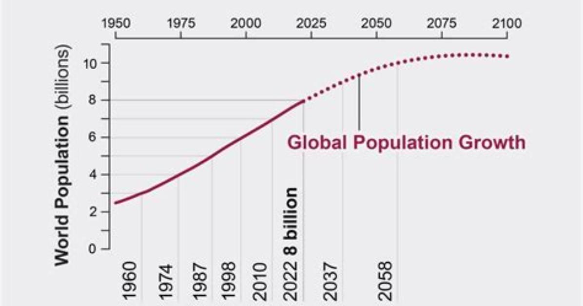 At the Global Population?