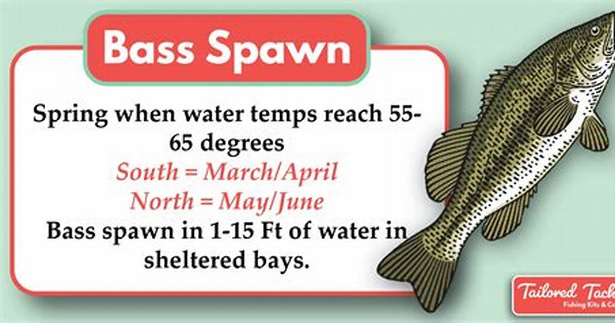 At What Temperature Do Largemouth Bass Spawn?