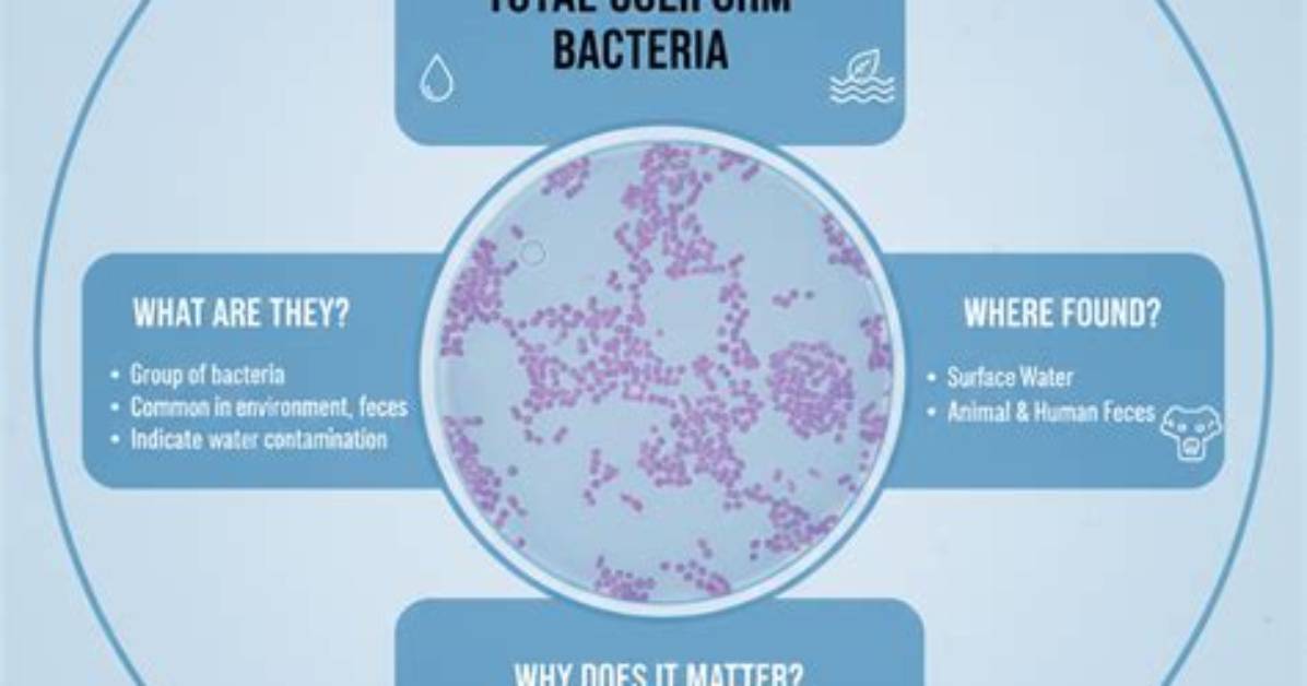 At What Temperature Does Coliform Die?