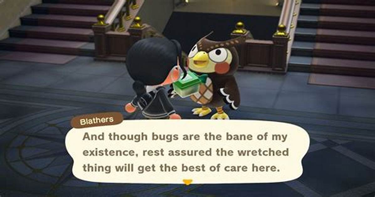At What Time Does Blathers Arrive?