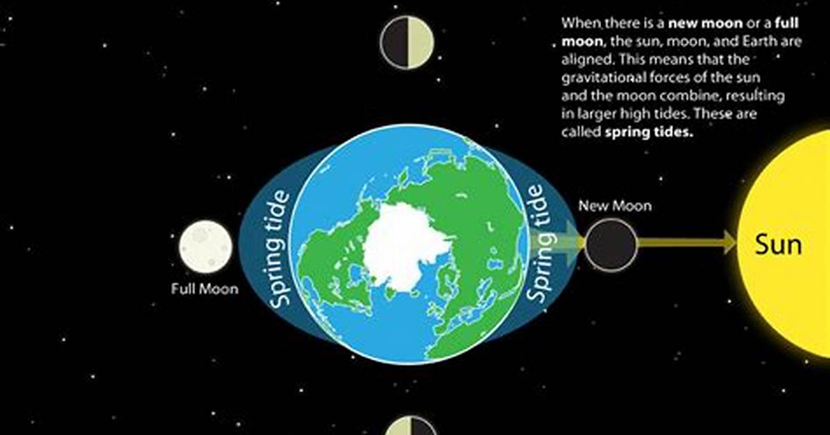 At Which Positions Would a Spring Tide Occur?