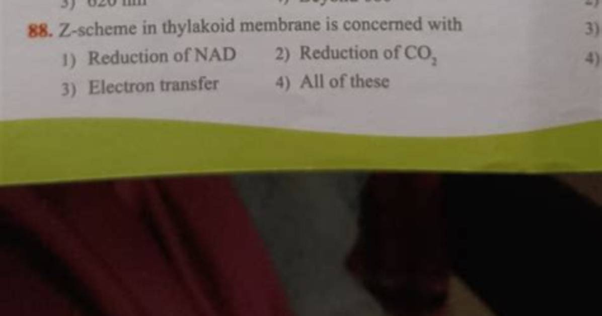 At Which Wavelength Cyclic Phosphorylation Occurs?
