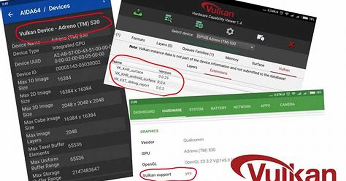 Automatic Check If Vulkan Is Supported