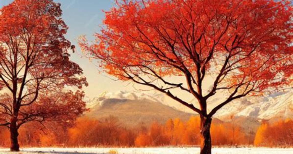 Autumn Falls