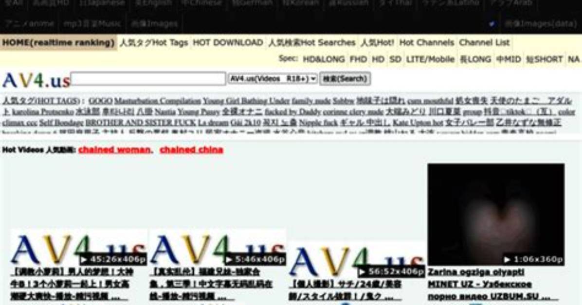 Av. Mp44. Us Login Safely, Analysis & Comments
