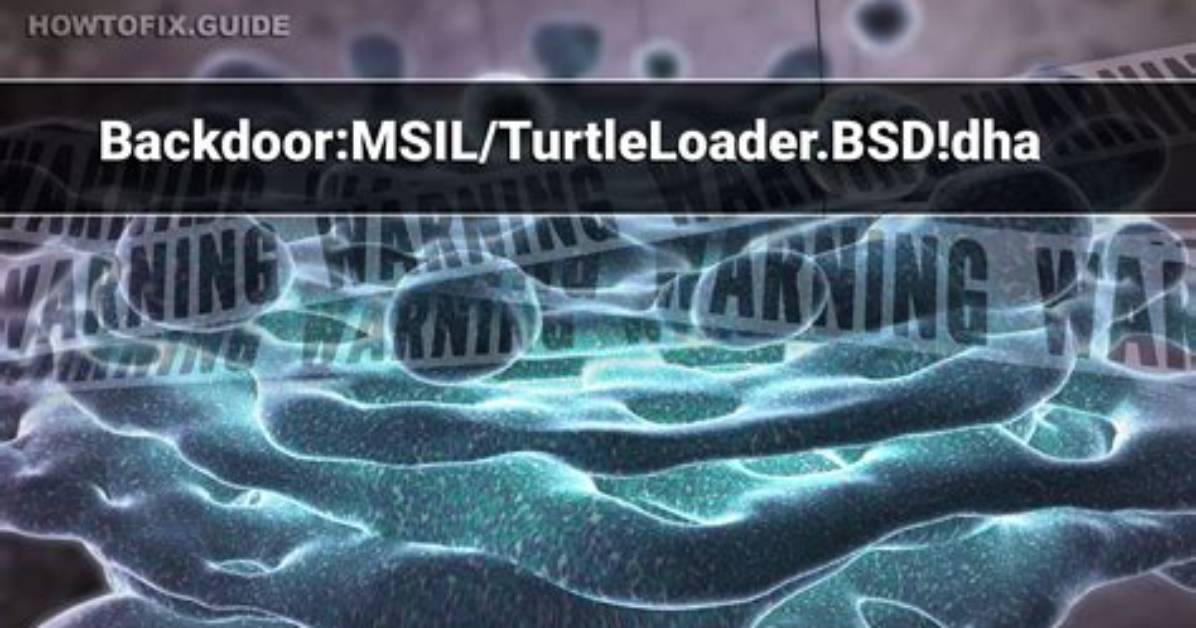 Backdoor: Msil/Turtleloader. Bsc! Dha (Turtleloader Backdoor) — Virus Removal Guide