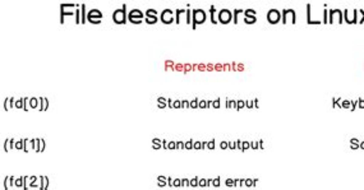 Bad File Descriptor with Linux Socket Write() Bad File Descriptor C