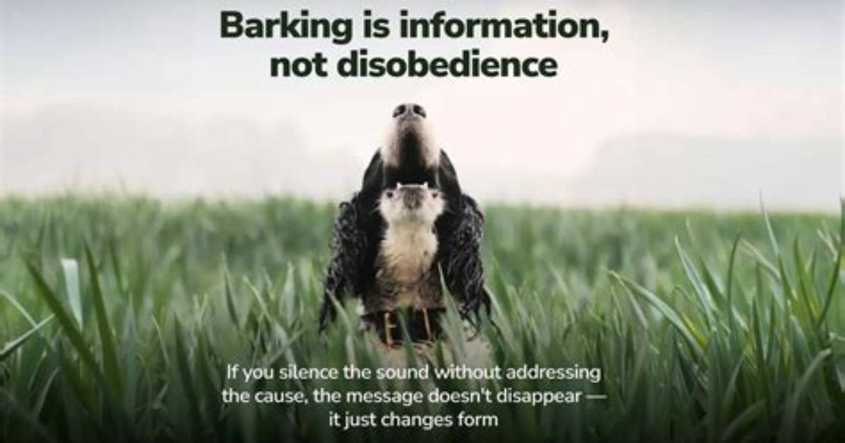 Barking Didn’t Cause Fatal Fall