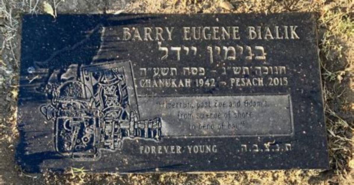 Barry Eugene Bialik: Family Tree by Famousmcum