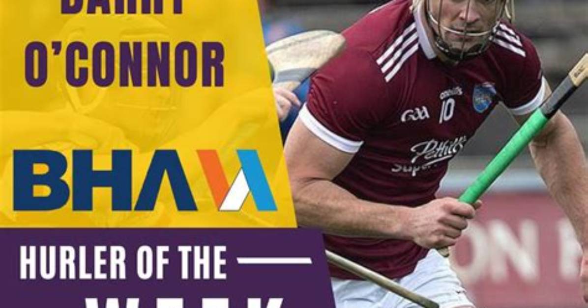 Barry Johnson (Hurler)