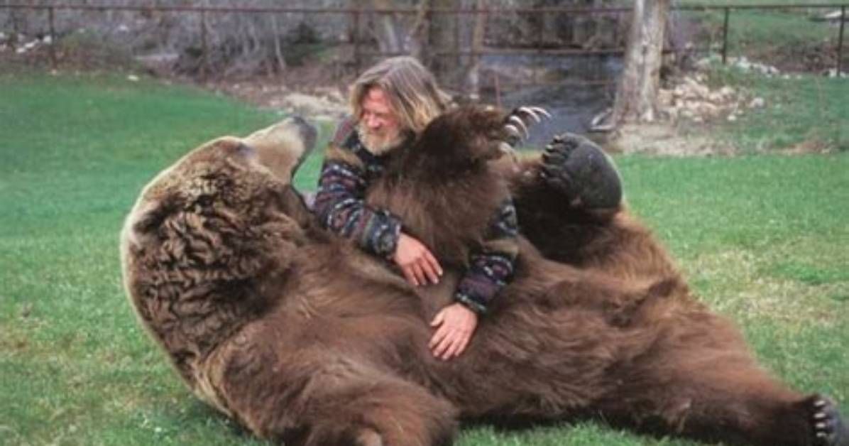 Bart the Bear Net Worth