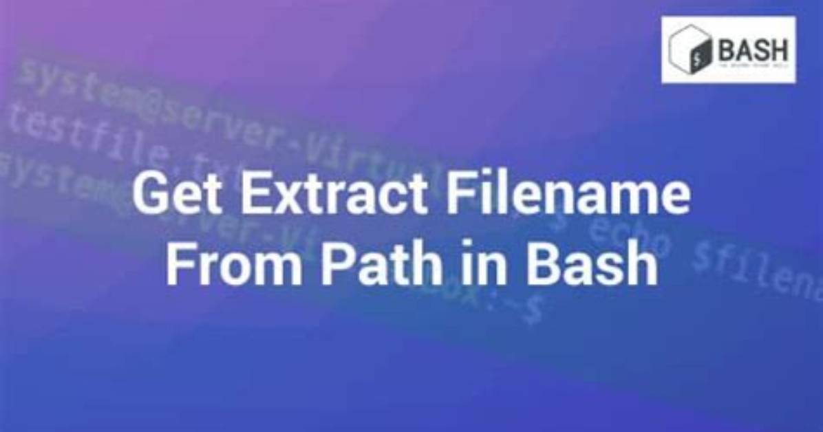 Bash Parse Filename