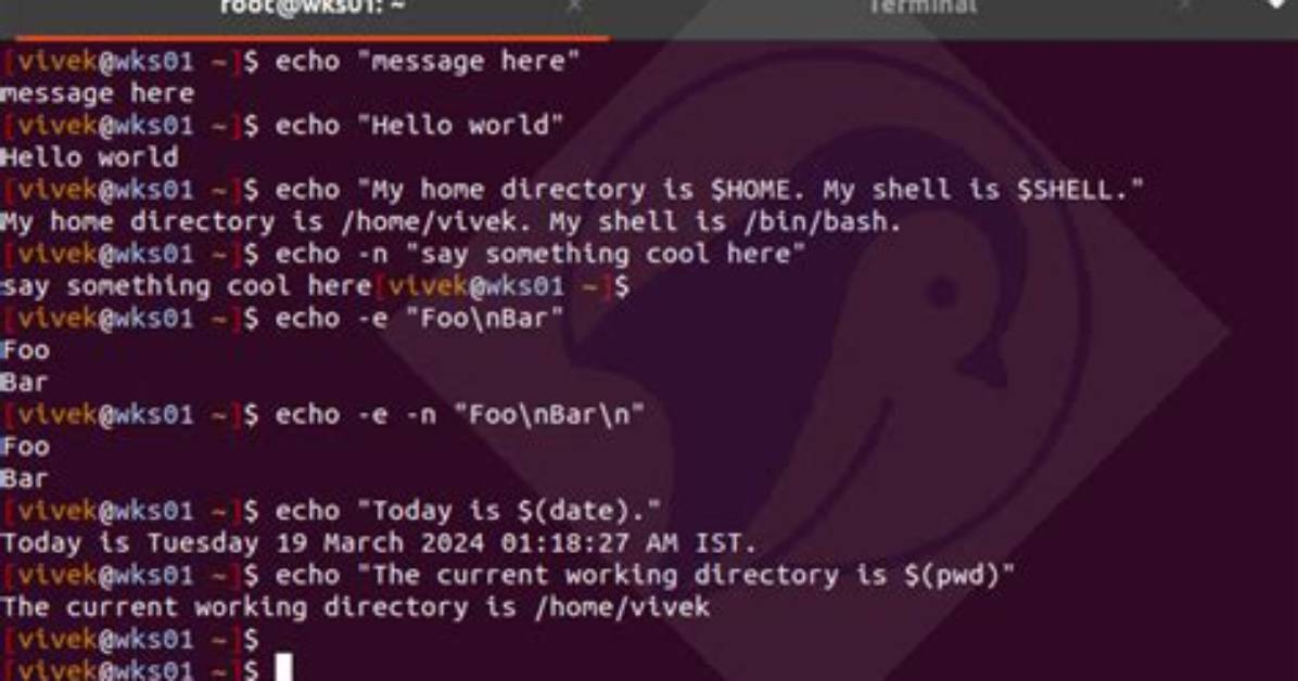 Bash Script: Echo Output Garbled and in Wrong Order
