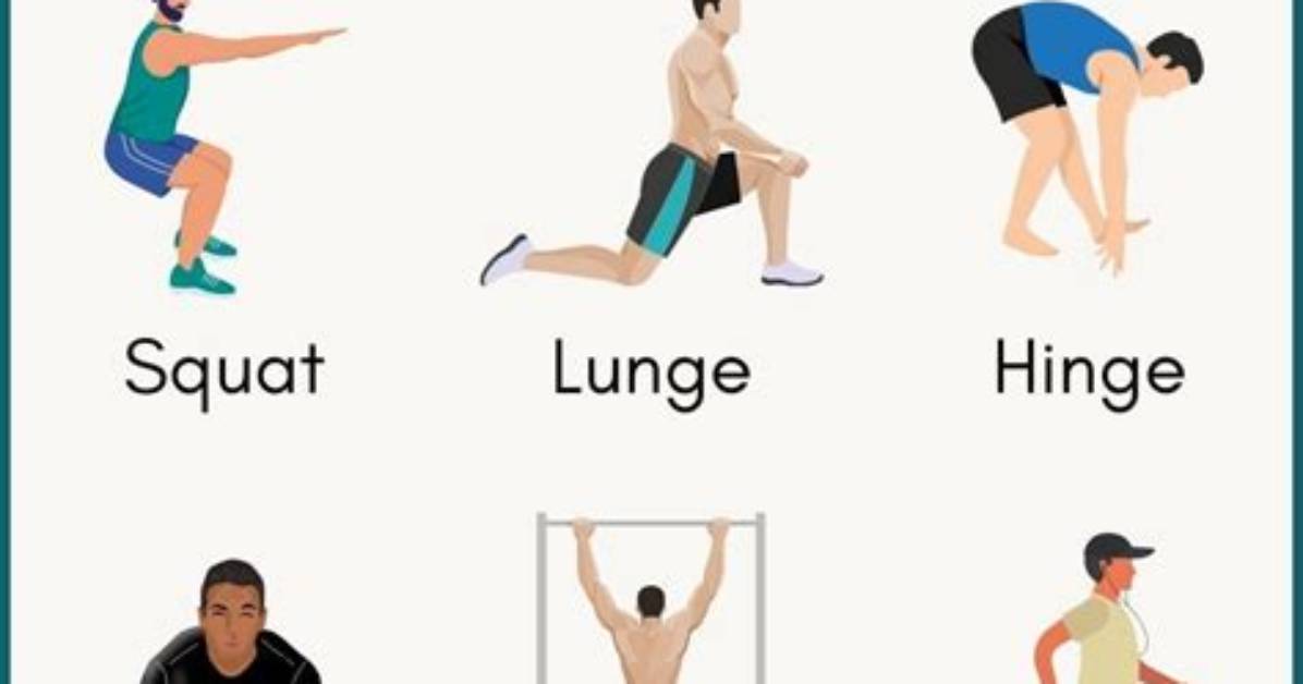 Basic Functional Movements, Check These out | What Are the 5 Functional Movements?