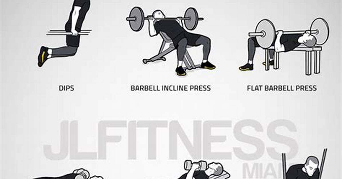 Beginner Chest Workouts | the Best Exercises for Your Upper and Lower Chest