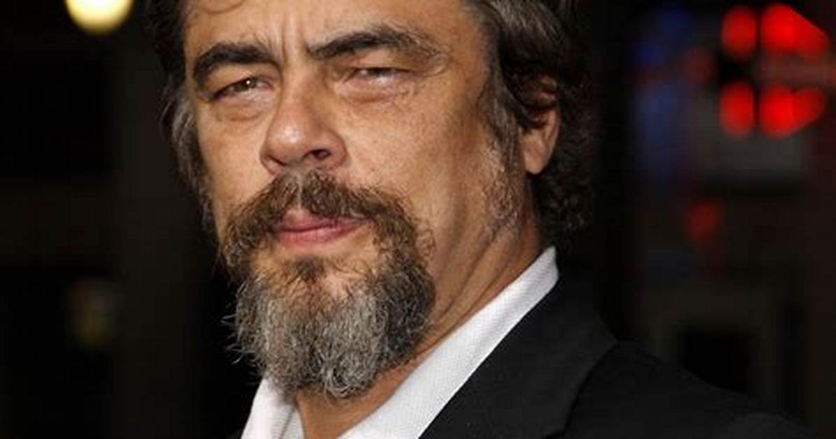 Benicio Del Toro