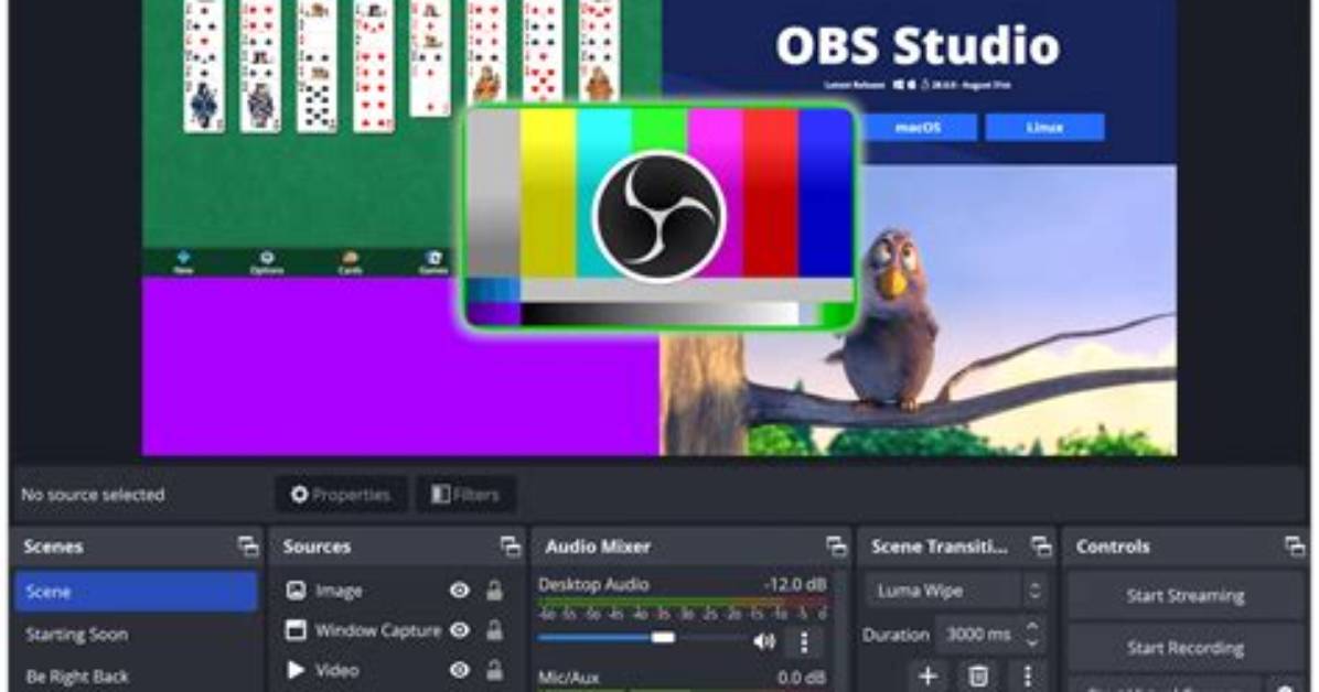 Best Answer: Does Obs Run on Linux?