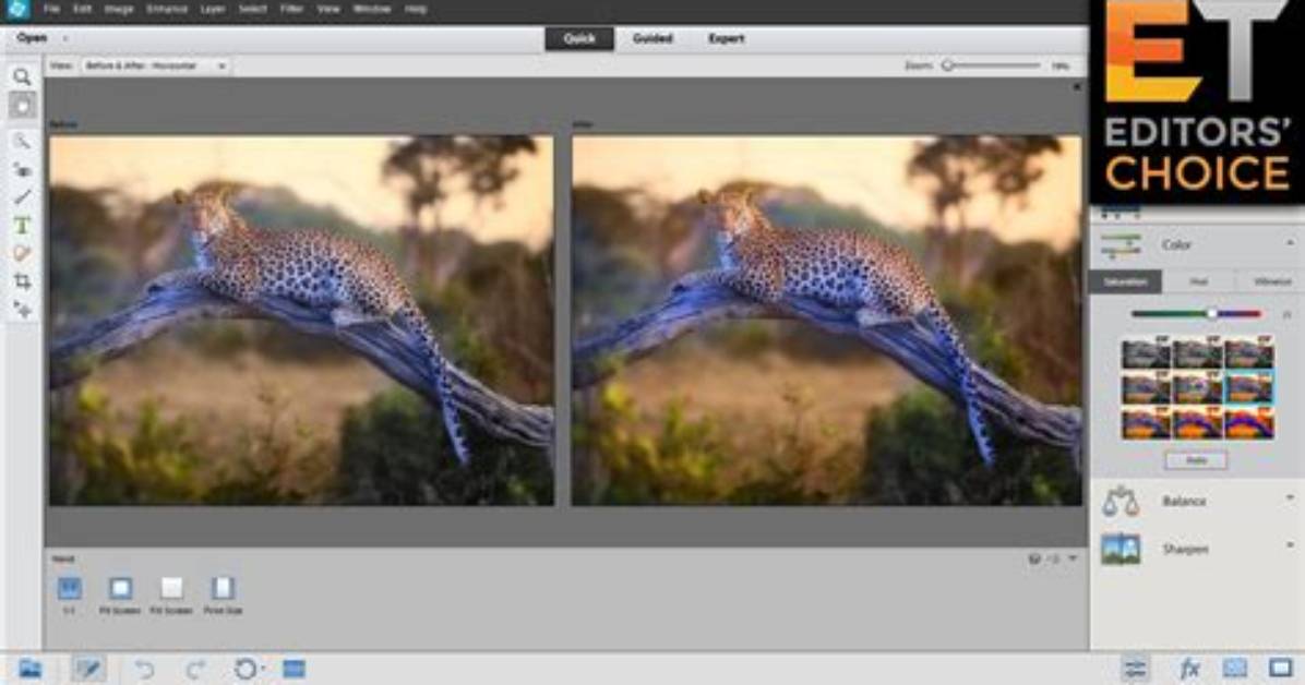 Best Answer: Does Photoshop Elements 12 Work with Windows 10?