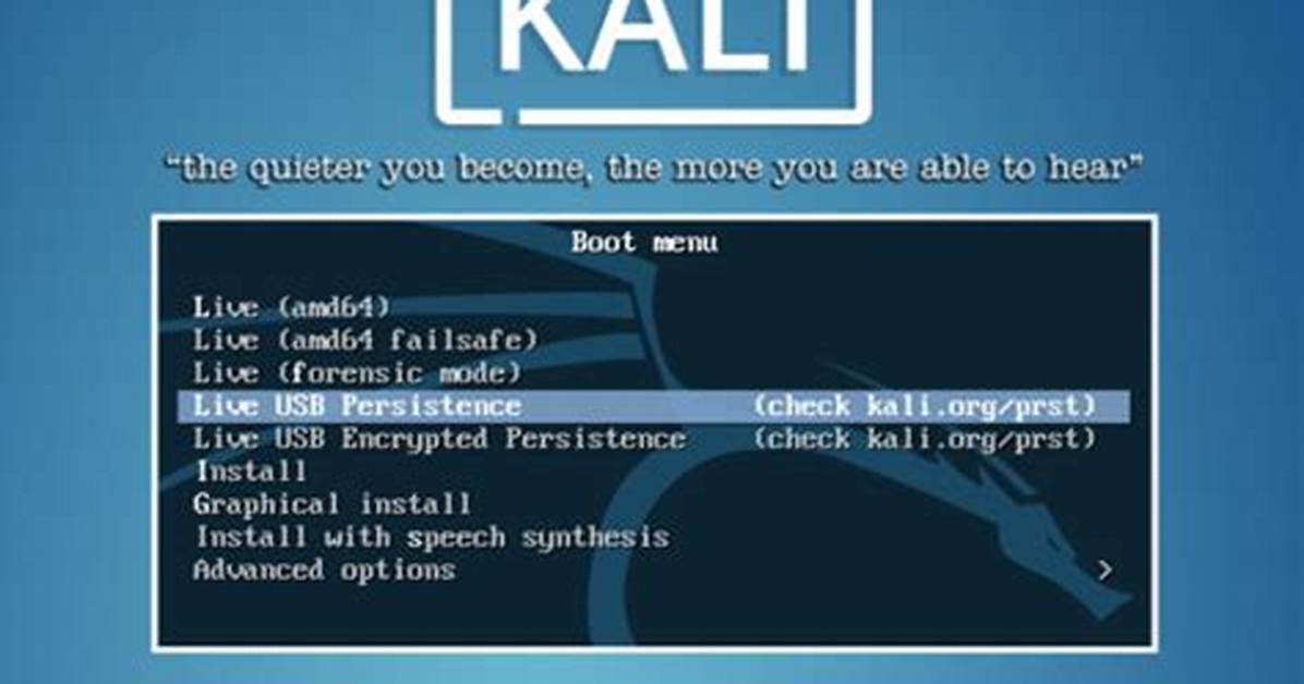 Best Answer: How Install Persistent Kali Linux on Usb?