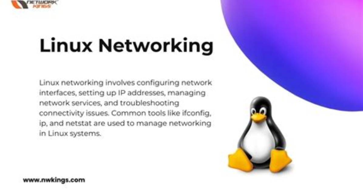 Best Answer: What Is Networking in Linux?