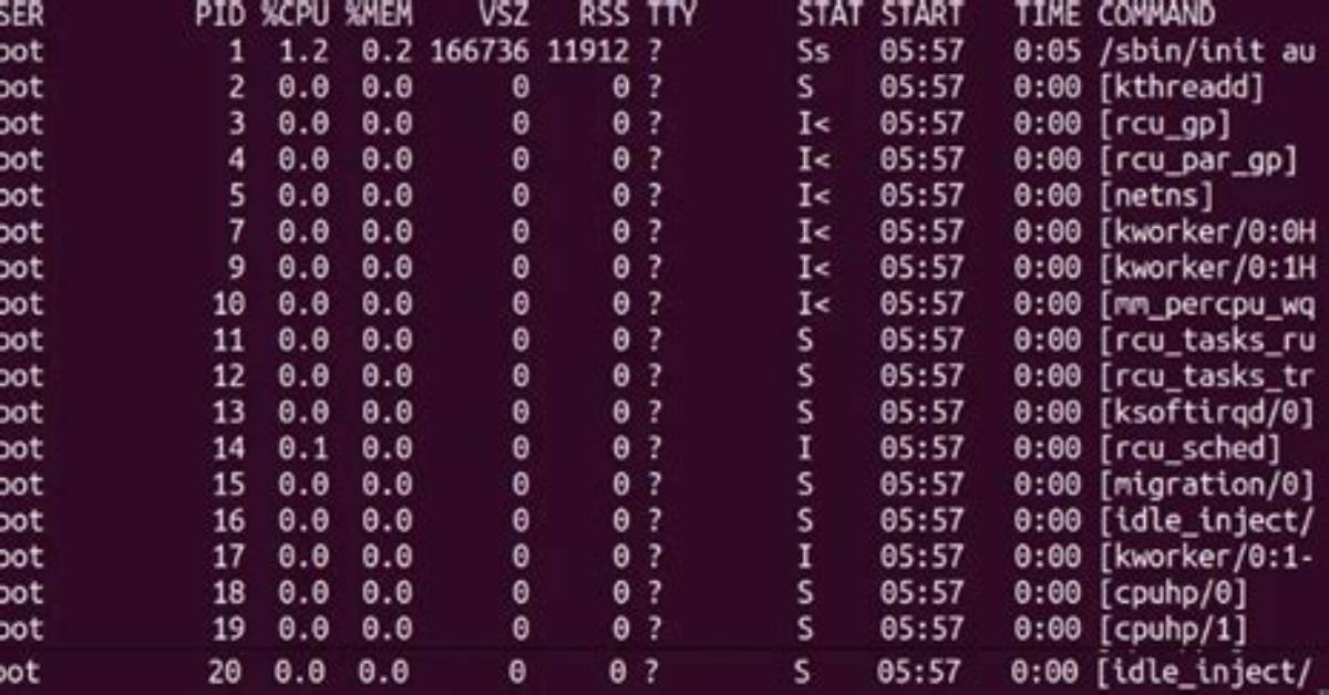 Best Answer: What Is Ps Aux Command in Linux?