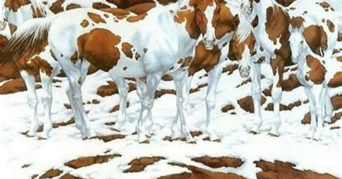 Bev Doolittle