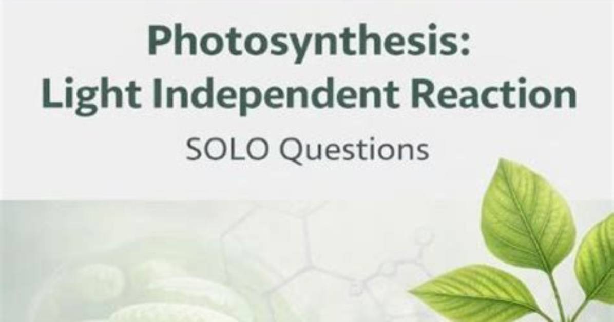 Bio 2.4 Photosynthesis (Ldr & Lir) Quiz