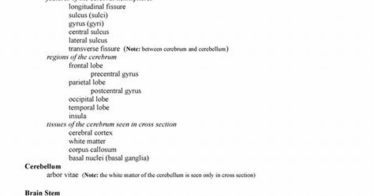 Bio 201 Lab Practical 2! !! ! — Playlist