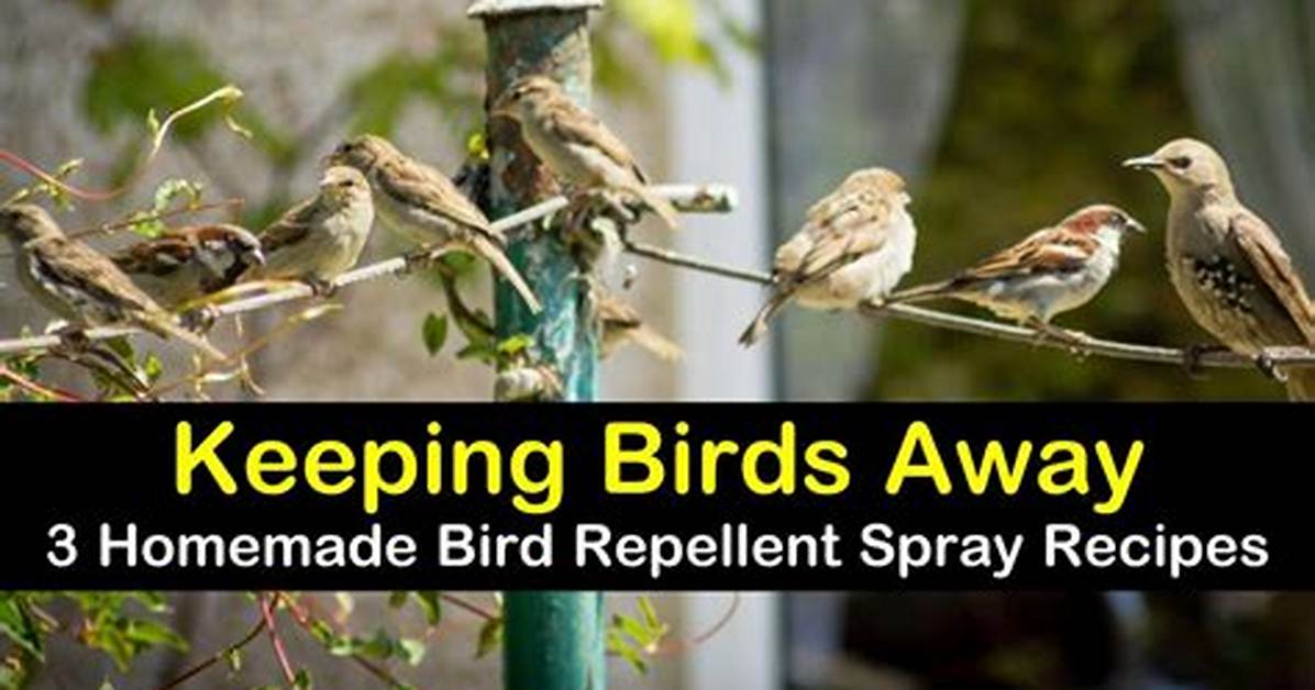 Bird Repellent Spray for Fruit Trees
