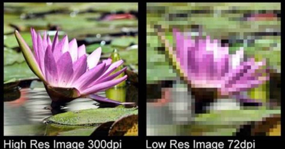 Bitmap Graphics Are Resolution Dependent Because Each Element Is a Discrete Pixel.