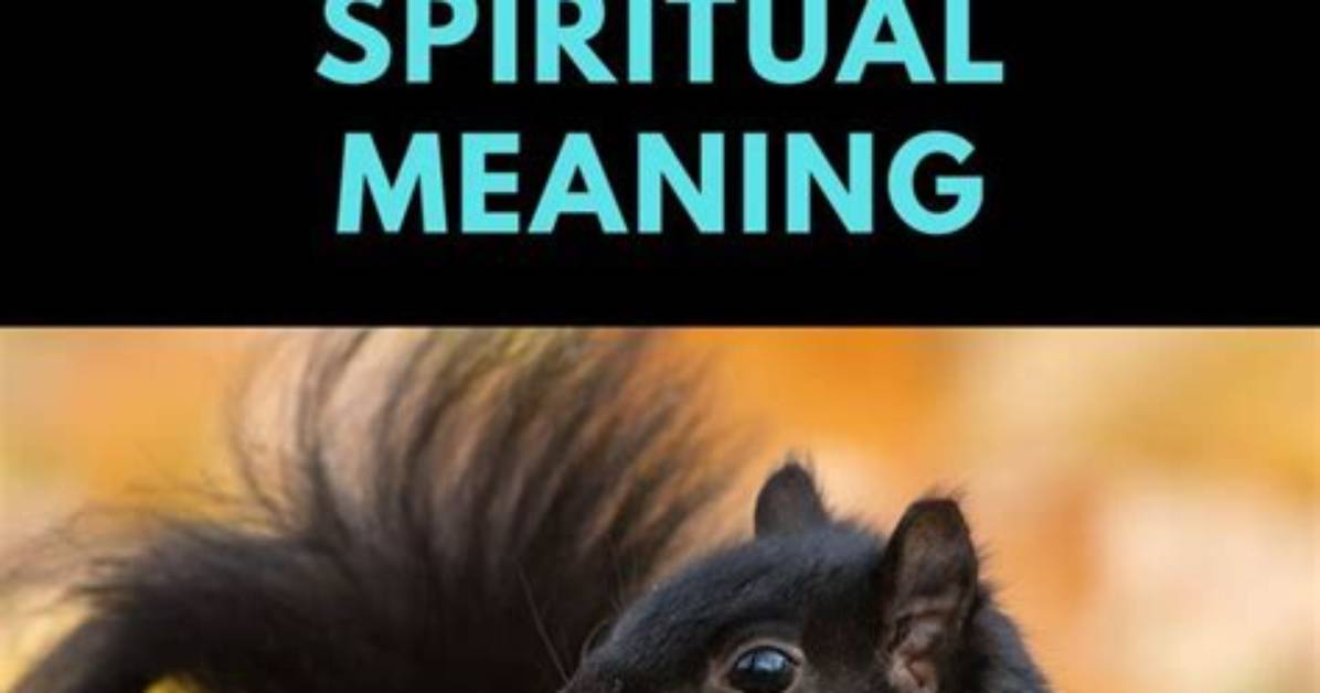 Black Squirrel Meaning