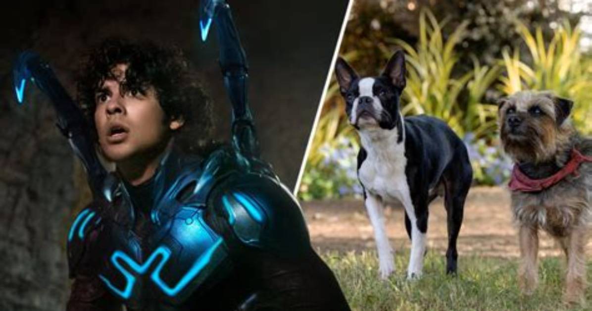 'Blue Beetle,' 'Strays' and This Week's Best Events