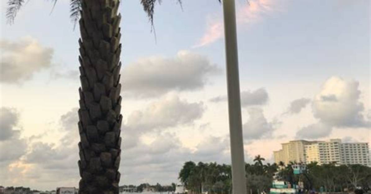 Boca Landing Thinks Big