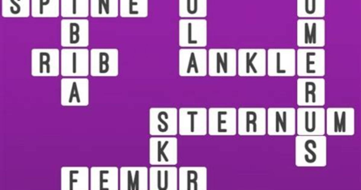 “Bones” Crossword Clue Answer