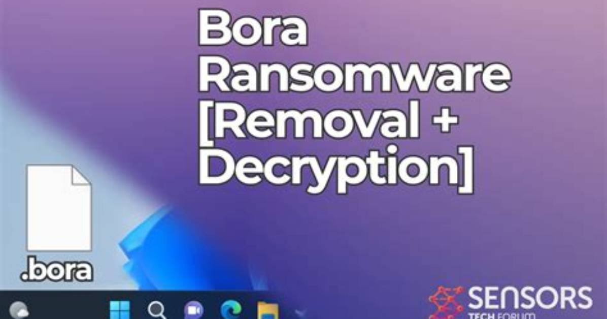 Bora Ransomware. How to Decrypt. Bora Files?