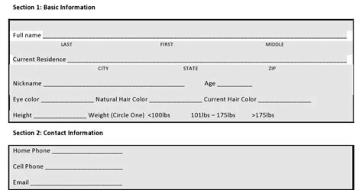 Boyfriend Application Form