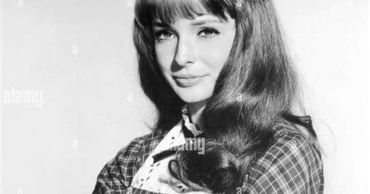 Brenda Scott Net Worth