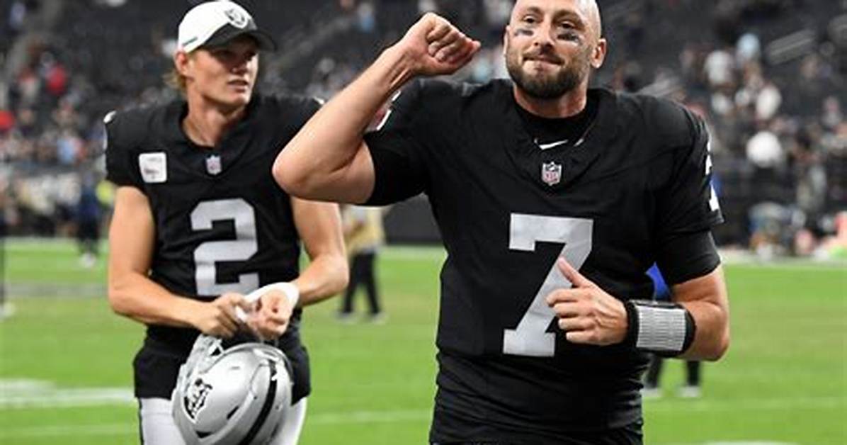 Brian Hoyer Net Worth