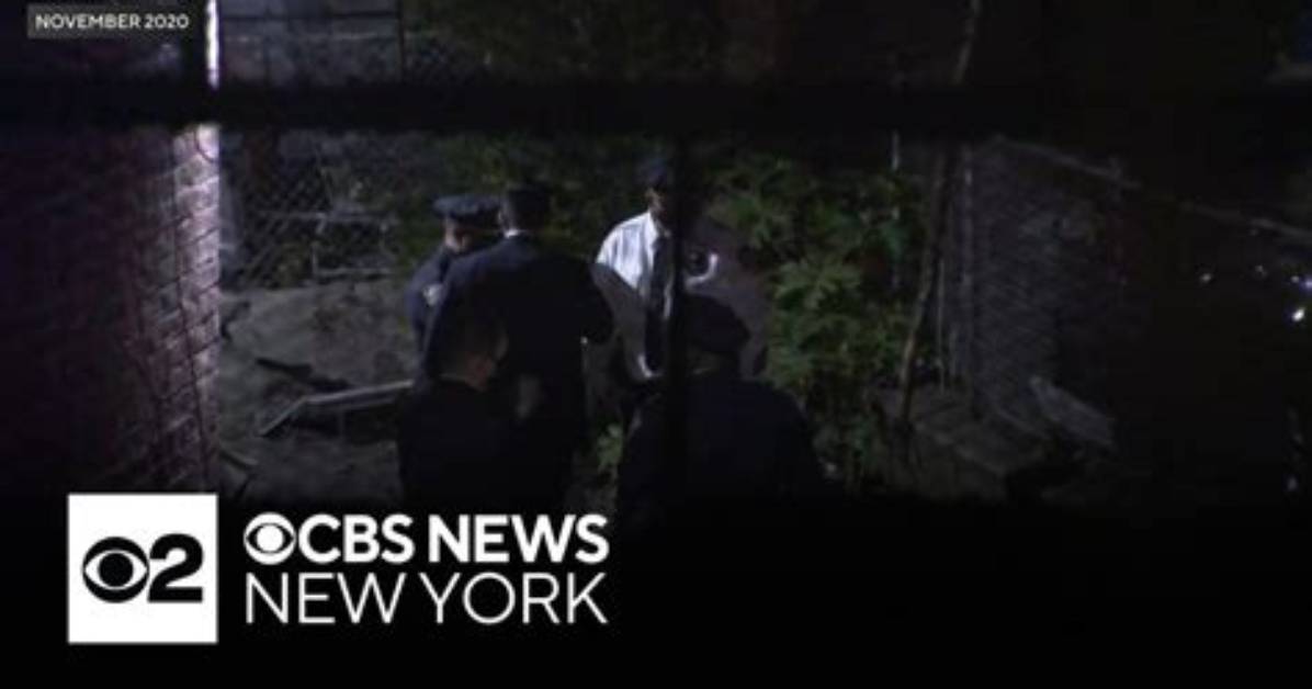 Bronx Twins, Aged 5, Found Dead After Violent Illness, Likely a ‘Medical Tragedy’