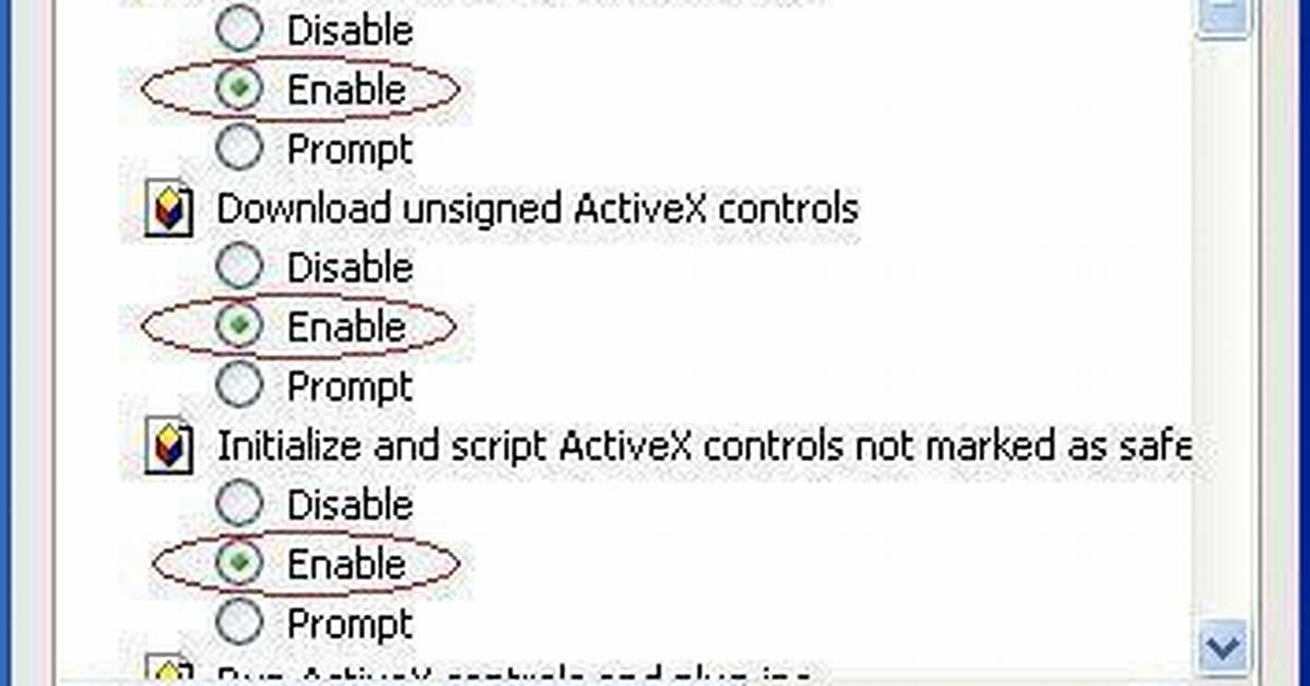 Browser Settings for Scripting and Activex Controls - Documentation for Remedy Action Request System 19.02