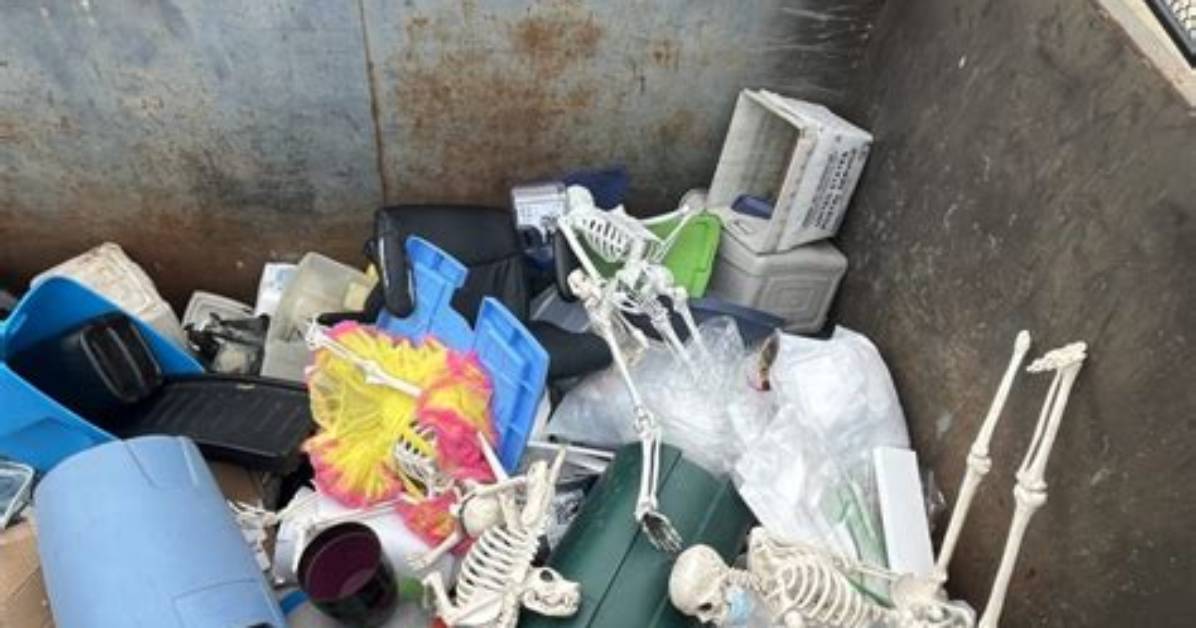 Browsing Is Allowed at the Wellesley Dump
